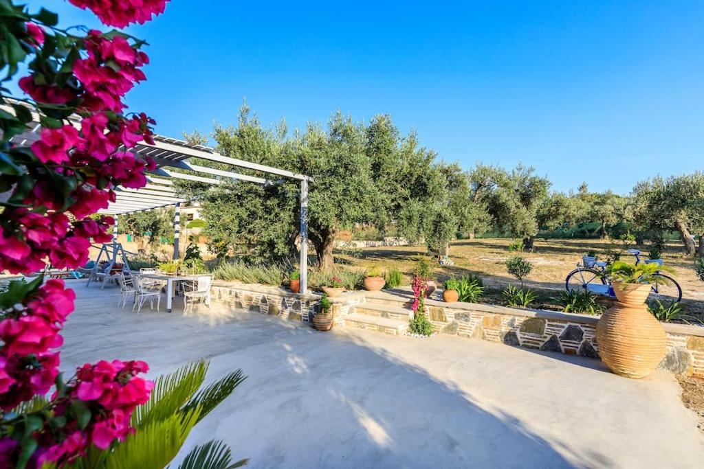 Skopelos Blue Heaven Pool Villa In Olive Grove 외부 사진