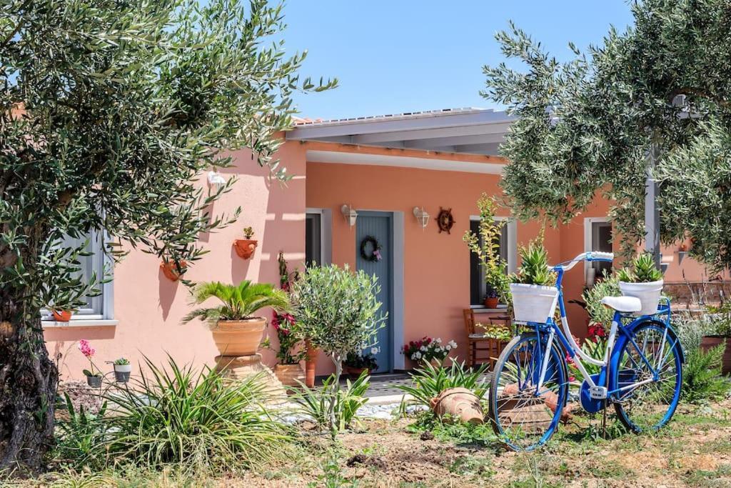 Skopelos Blue Heaven Pool Villa In Olive Grove 외부 사진