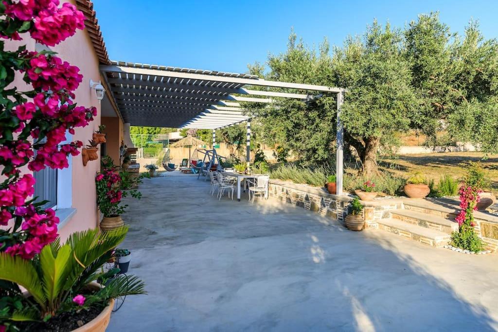Skopelos Blue Heaven Pool Villa In Olive Grove 외부 사진